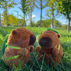Capybara Plush Toys