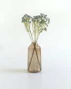 Small clear vase with dried flowers on a white background