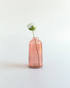 Pink vase with a white flower on a light gray background